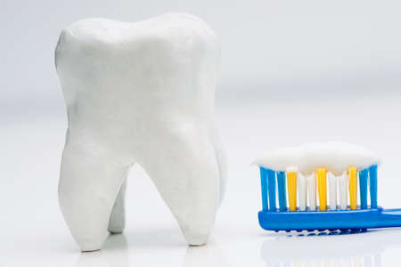 tooth and toothbrush with toothpasteの写真素材