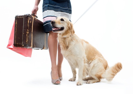 Traveling with dog and a suitcaseの写真素材