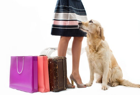 Traveling with dog and a suitcaseの写真素材