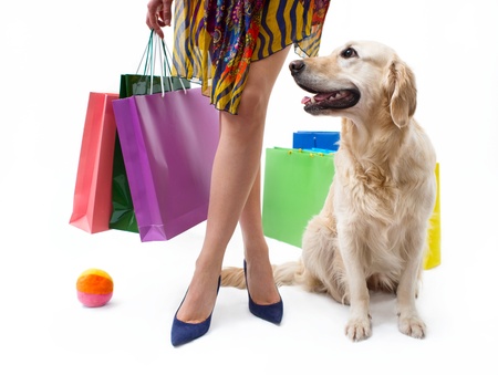 Girl in dress with the dog and packagesの写真素材