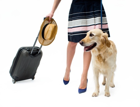 Girl in dress with dog and suitcase on wheelsの写真素材