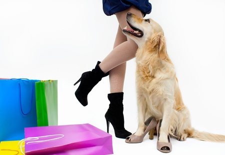 Girl with the dog and packagesの写真素材