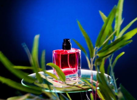 Perfume bottle stands on the mirrorの写真素材