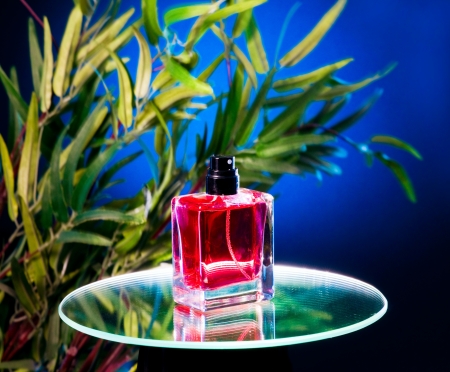 Perfume bottle stands on the mirrorの写真素材