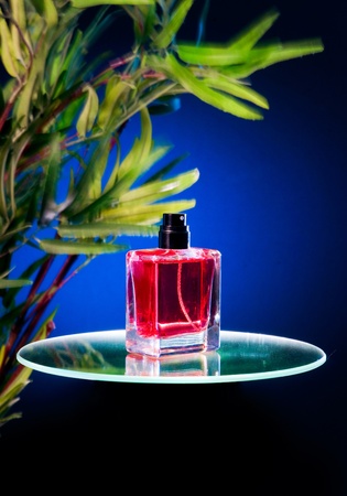 Perfume bottle stands on the mirrorの写真素材