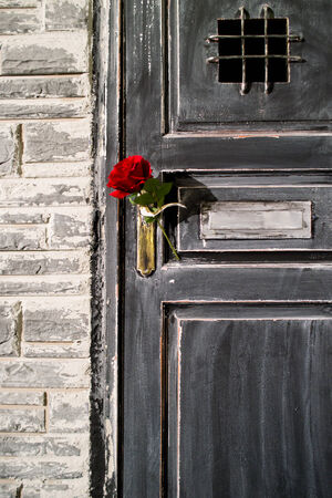 Flower in the door handleの写真素材