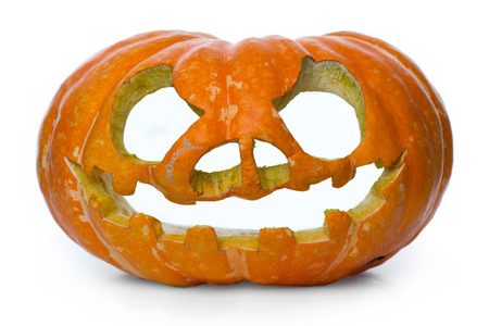 Halloween pumpkin on the white backgroundの写真素材