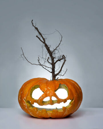 Halloween pumpkin with tree on the grey backgroundの写真素材