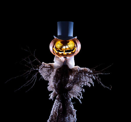 Scarecrow with head of pumpkin on the black backgroundの写真素材