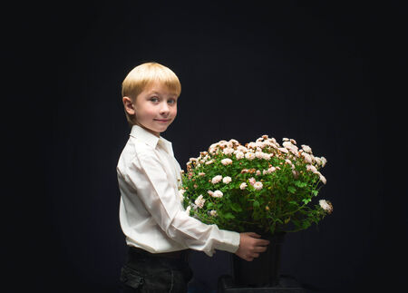Boy with a bouquet of chrysanthemums on the black backgroundの写真素材