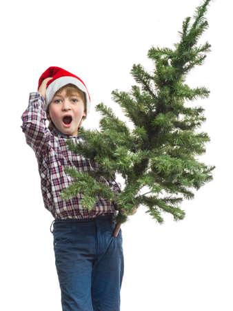 Little Santa with a Christmas tree in the hand ofの写真素材