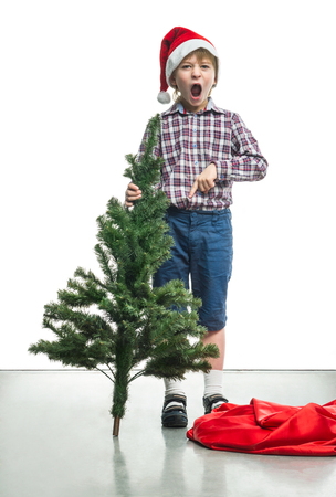 Little Santa with a Christmas tree in the hands ofの写真素材