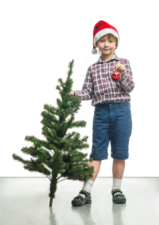 Little Santa decorates a Christmas treeの写真素材