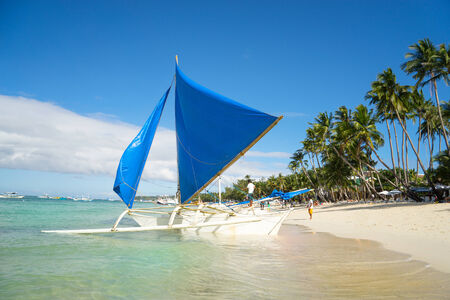 Sailboat at the beach with palm treeの写真素材
