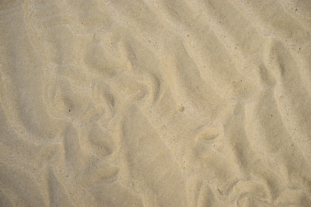 Moire pattern of the sea sandの写真素材