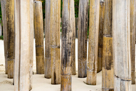 Background of bamboo sticks in the sandの写真素材