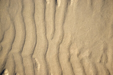 Moire pattern of the sea sandの写真素材