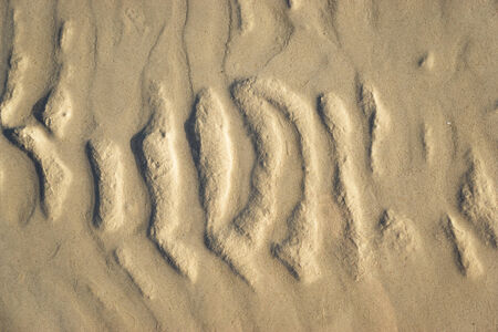 Moire pattern of the sea sandの写真素材