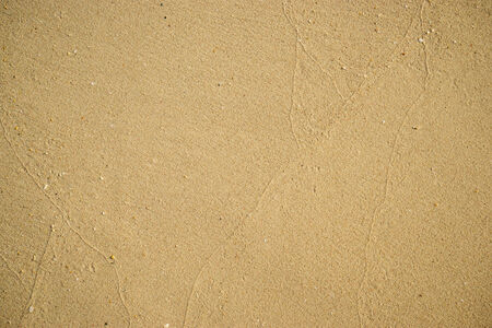 Beautiful background of the sea sandの写真素材