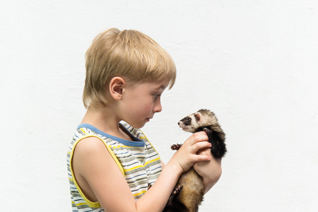 Little boy and cute polecatの写真素材
