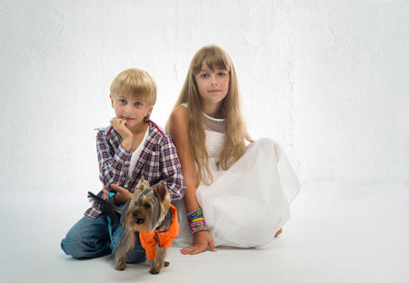 Children with the little Yorkshire terrierの写真素材