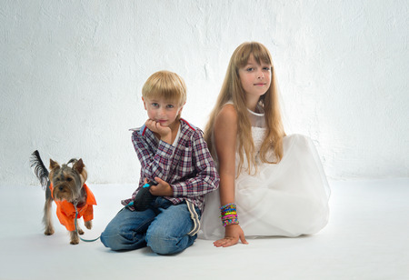 Children with the little Yorkshire terrierの写真素材