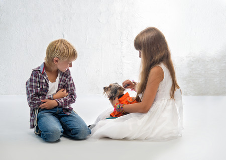 Children with the little Yorkshire terrierの写真素材