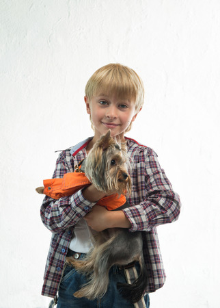 Portrait of the boy with the Yorkshire terrierの写真素材