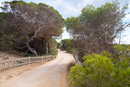 Landscape with country road and trees along riverの写真素材
