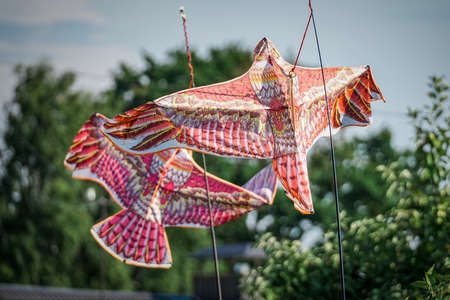 Bird repellent scarecrow in the form of a kite with the image of an eagleの写真素材
