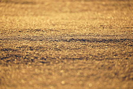 Abstract gold background with bright sparkles and blur