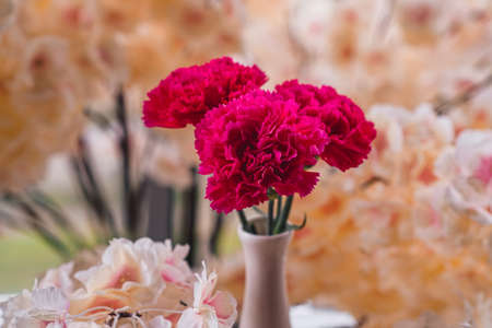 bouquet of flowers in vaseの写真素材