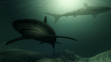 Computer generated sharks swimming close to the ocean floorの写真素材