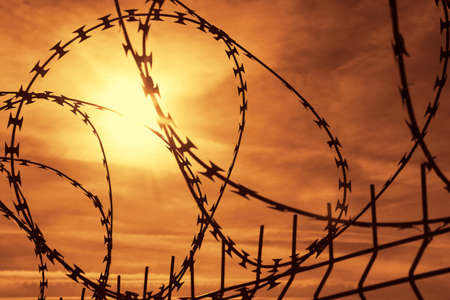 Close-up view of a barbed wireの写真素材