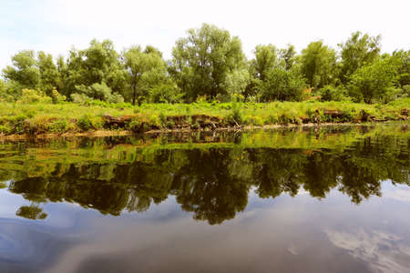 Danube delta wetlandsの写真素材