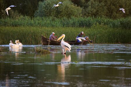 Danube Delta, Romania - June 16, 2019: Fishermen checking nets at dawn in Danube Deltaのeditorial素材