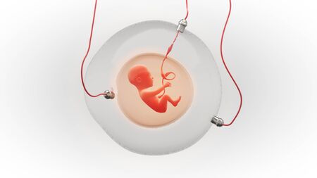 Concept illustration of a fetus development in an artificial gestational sacの写真素材
