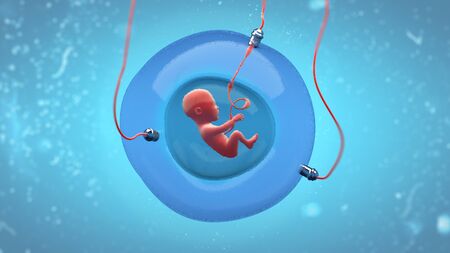 Concept illustration of a fetus development in an artificial gestational sac