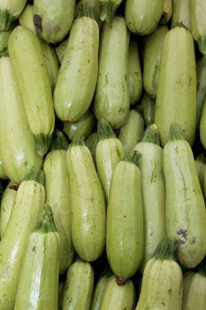 Freshly picked vegetable marrows at a local farmers marketの写真素材