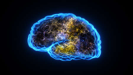 3d rendering of a human brain electrical activityの写真素材