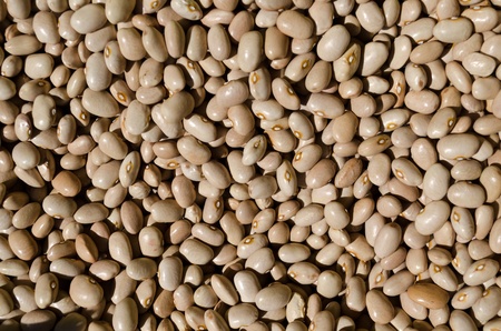 Light brown dry beans - healthy fiber food