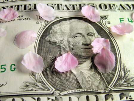  Some cherry flowers petals on a dollar billの写真素材