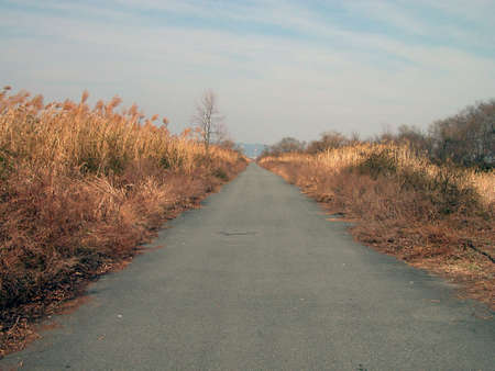  Perspective on a road in the dusk.