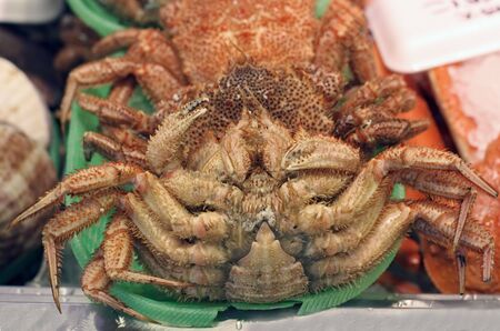 Detail of a ventral part of a crab on a seafood market stand.の写真素材