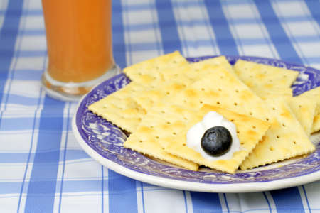 Plate with crackers,yogurt,blueberry and a glass of orange juice-good choice for a healthy...