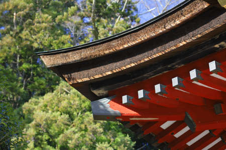 Japanese temple roof, a traditional architectural detail.