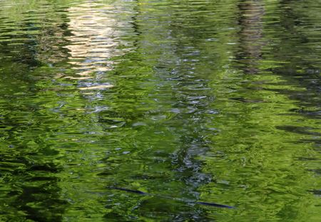 Interesting background generated by the vegetation reflections in a park lake.の写真素材