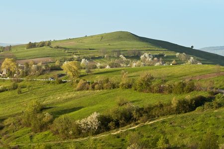 Spring lanscape with blossoming trees and hill (location Romania).