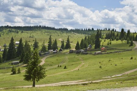 Rural landscape in Apuseni Mountains ,Transylavnai,Romania.