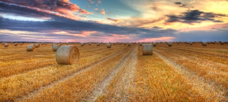 Beautiful sunset over a field with bales of hay の写真素材